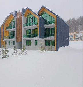 snow forest bakuriani apartment eight